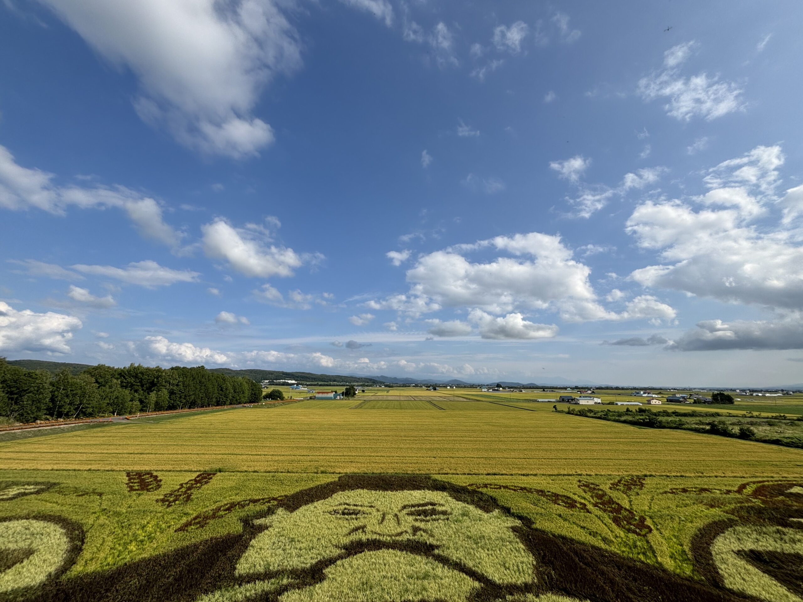 聖道 作 「自然の園」 sizenseien